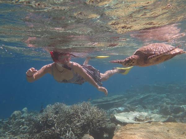 Trải nghiệm tuyệt vời: bơi cùng rùa biển ngắm san hô.