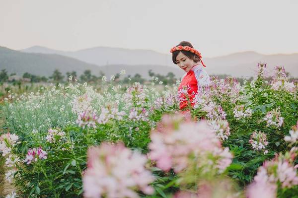 Thiên đường hoa Quảng La trồng rất nhiều loại hoa đặc biệt đảm bảo cho bạn có những bức ảnh lung linh bên những cánh hoa tươi thắm.