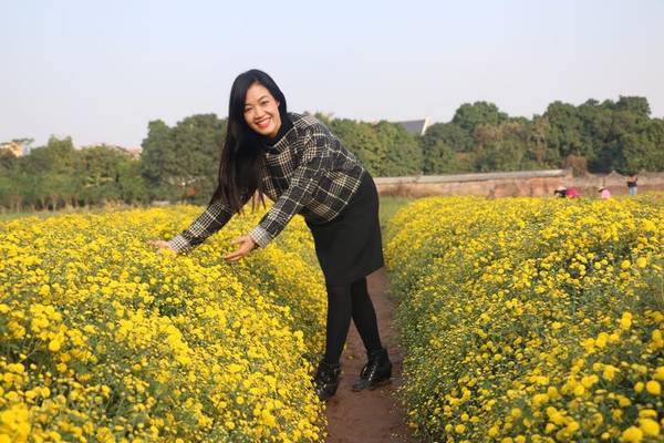 Cánh đồng hoa cúc vàng ở Hưng Yên, gần đây thu hút được sự chú ý của rất nhiều bạn trẻ đến tham quan và chụp ảnh.