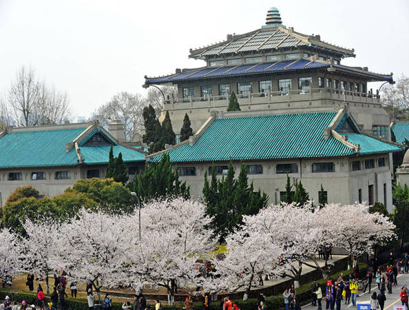 Là một trong những trường đại học đẹp nhất ở Trung Quốc, Đại học Vũ Hán không chỉ thu hút bởi lịch sử lâu đời, mà còn ở con đường hoa anh đào đua nở.