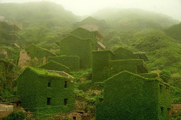 Làng chài bị bỏ hoang ở tỉnh Chiết Giang, Trung Quốc đẹp như cổ tích khi được khoác lên mình tấm áo xanh của cây cỏ dại.