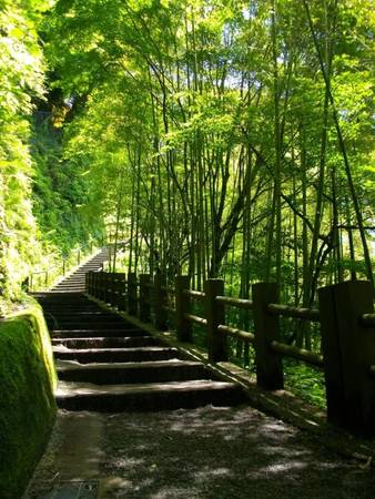  Đường dẫn vào thác Shiraito no Taki - Ảnh: unblog
