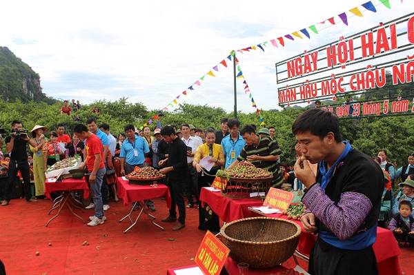 Ngày hội hái quả Mộc Châu lần thứ 3 năm 2016 được tổ chức vào 29/5/2016 tại khu vực Nà Ka, bản Pa Khen 1, thị trấn Nông trường Mộc Châu. Ảnh: mocchau.sonla.gov.vn