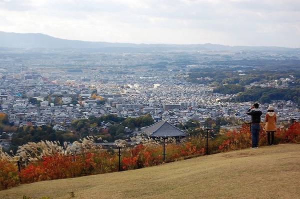 Nara là thành phố thuộc tỉnh Nara, Nhật Bản, đồng thời là cố đô của đất nước hoa anh đào đến năm 784. Nơi đây được khách du lịch yêu thích nhờ những giá trị truyền thống mang đậm sắc màu thời gian cùng nhiều lễ hội văn hóa nghệ thuật đặc sắc. Một trong số đó là lễ hội đốt núi Wakakusa. Ảnh: Jessica.