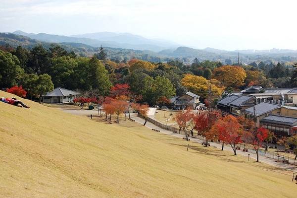Du khách có thể nhìn thấy màn đốt núi hoành tráng này tại bất cứ điểm nào ở Nara. Ảnh: Rocky.