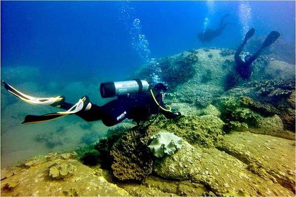 Quần thể san hô nguyên thủy dài hơn 2 km với gần 234 loại san hô .