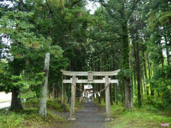  Nhật Bản là quê hương của nhiều phong tục độc đáo, kỳ lạ, thậm chí là nhạy cảm. Một trong số đó là nghi thức cầu bái sức khỏe ở đền Kunigami tại đảo Honshu. Du khách đổ về đây khá đông, đặc biệt là những người mắc bệnh hậu môn bởi từ xa xưa, người ta tin rằng ngôi đền này có thể chữa khỏi bệnh trĩ cho những ai thành tâm tới thăm.