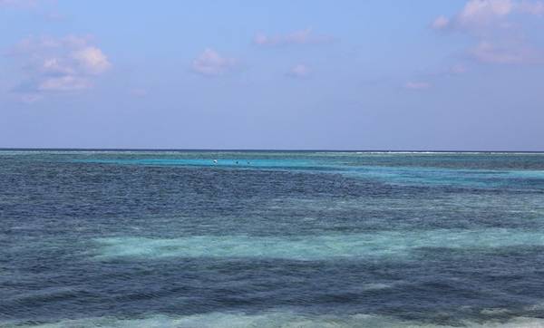 Sự lựa chọn hàng đầu của dân du lịch bụi: Maafushi là một hòn đảo dân sinh cách thủ đô Male 90 phút di chuyển bằng phà công cộng, hay 30 phút di chuyển bằng tàu cao tốc. Để tới được Maafushi, các bạn cần đi phà từ sân bay sang thủ đô Male. Tàu cao tốc hay phà công cộng đều sẽ xuất phát từ đây. Tùy quỹ thời gian bạn có và mục đích chuyến đi mà bạn lựa chọn phương tiện cho phù hợp. 