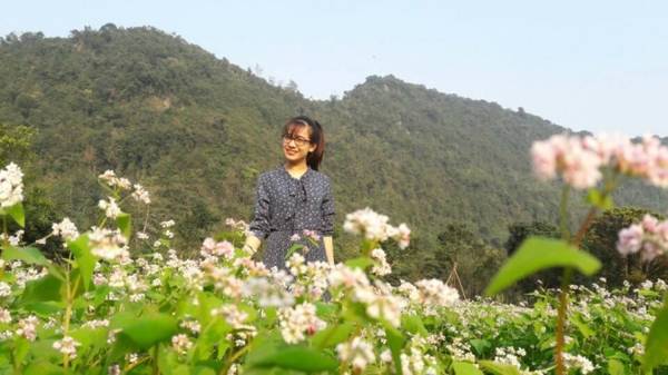 Nhiều du khách tỏ ra bất ngờ khi Ninh Bình cũng có hoa tam giác mạch và được trồng với quy mô lớn, khoảng 500 m2.