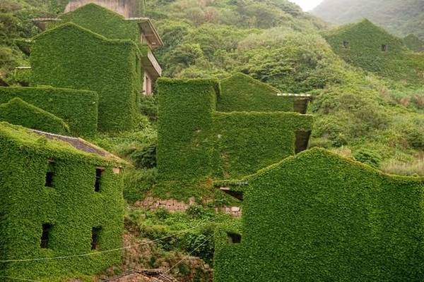 Nhiều ngôi nhà gần như hòa vào màu xanh của núi rừng - Ảnh: Exclusivepix Media