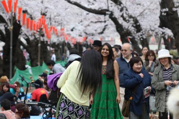 Công viên Ueno Nếu bạn đang tìm một chỗ vừa vui chơi, vừa ngắm được hoa anh đào, hãy đến với công viên Ueno. Đây là một trong những điểm nổi tiếng ở Tokyo vào mỗi mùa xuân với gần 1.000 cây hoa. Vào mùa hoa anh đào, Ueno cũng có nhiều sự kiện, hội chợ đồ cổ thu hút du khách tham quan, mua sắm.