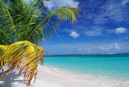  Bãi biển Flamenco nằm ở Culebra, Puerto Rico nằm thứ 6 trong danh sách. Nó được bình chọn nhờ sở hữu những bãi cát trắng và nước được đánh giá là "không thể trong xanh hơn".