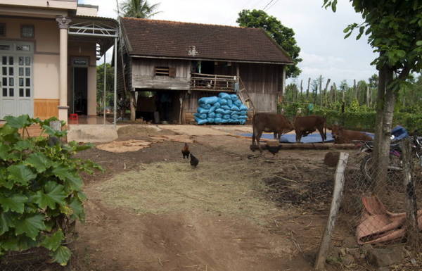Một căn nhà người dân tộc có sân để phơi lương thực. Những bao xanh là lúa đã phơi khô chờ xay xát - Ảnh: Trung Oanh