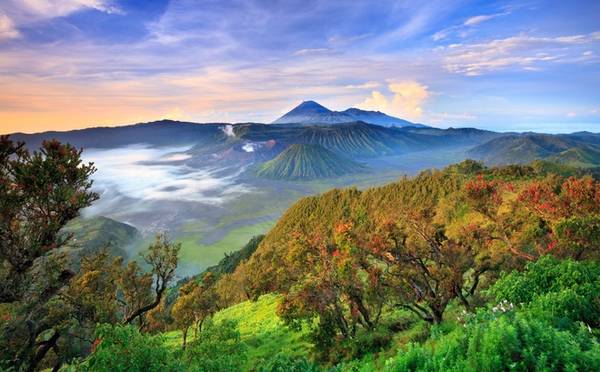 Bromo Tengger Semeru: Nằm ở trung tâm Đông Java trên một khu vực rộng khoảng 800 km2 là vườn quốc gia Bromo Tengger Semeru, thành lập năm 1919. Đây là nơi có hai ngọn núi lửa hoạt động mạnh của Indonesia, đỉnh Bromo và Semeru, thường xuyên tạo ra các đợt khói và mây rất đẹp. Đây cũng là điểm đến mà du khách có thể ngắm cảnh mặt trời mọc, thích hợp nhất là từ tháng 4 đến tháng 10 hàng năm. Địa chỉ: Malang, Đông Java, Indonesia