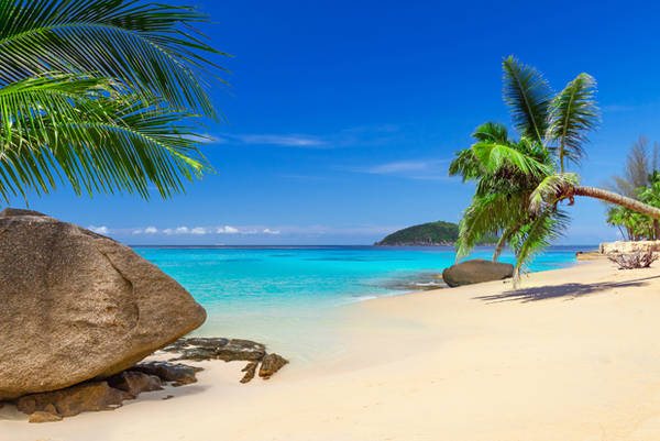 Tropical beach scenery