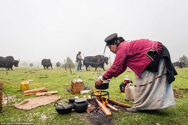 Thịt và sữa bò yak là một phần quan trọng trong thực đơn của người Brokpa. Mỗi ngày, những người chăn gia súc thường uống cả chục cốc trà bơ yak. 
