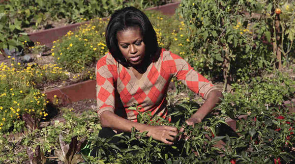 Phu nhân ông Obama chăm sóc cây trong vườn tháng 10/2011. Ảnh: Pablo Martinez Monsivais/AP.