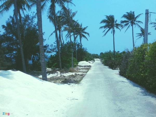 Con đường độc nhất ở đảo Bé với những hàng dừa xanh mát.