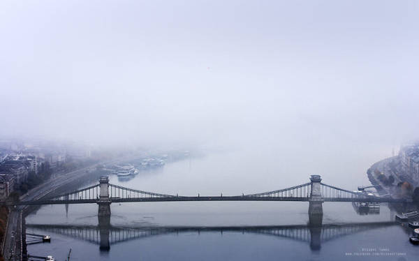  Những cây cầu nằm yên lặng trong sương
