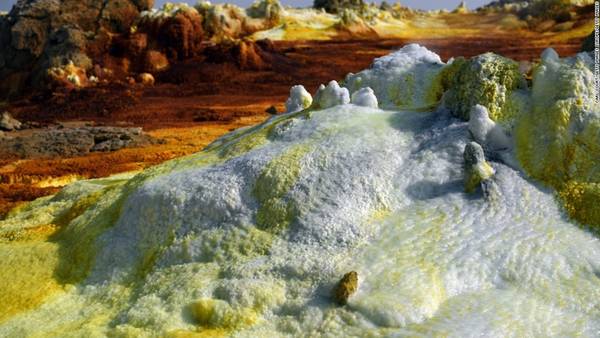 Suối nước nóng ở vùng trũng được các nhà khoa học nghiên cứu để xem bằng cách nào các vi sinh vật có thể sống trong điều kiện khắc nghiệt như vậy. Điều này có thể giúp chúng ta biết được khả năng tồn tại của sự sống trên các hành tinh khác.