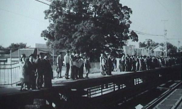 Khi ga Kayashima đi vào hoạt động vào năm 1910, cây long não đã ở đó che nắng mưa cho hành khách. 60 năm sau, chính phủ quyết định mở rộng nhà ga để phục vụ nhu cầu đi lại ngày càng tăng của người dân. Năm 1972, kế hoạch xây dựng được thông qua kèm theo điều khoản cây long não sẽ bị đốn hạ. Ảnh: me de miru neyagawashi no hyakunen.