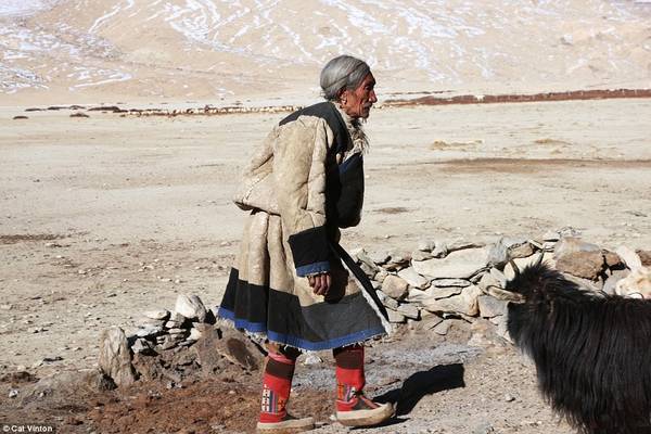 Ông Gaysto năm nay 55 tuổi. Ông và người bộ tộc sống theo kiểu cổ xưa, với những căn lều bằng da trâu yak và việc chăn thả gia súc.