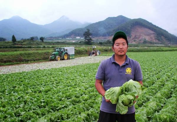 Ngôi làng trồng rau xà lách sạch được áp dụng theo công nghệ nổi tiếng của làng Kawakami Mura, huyện Minamisaku, tỉnh Nagano Nhật Bản.Ảnh: FB "Làng thần kỳ" Đà Lạt