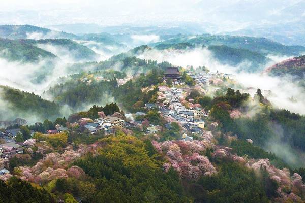 Gọi mùa hoa anh đào là "mùa kỳ diệu nhất của Nhật Bản", tạp chí National Geographic mới đây đã đăng tải loạt ảnh tuyệt đẹp hoa anh đào xứ Phù Tang. 