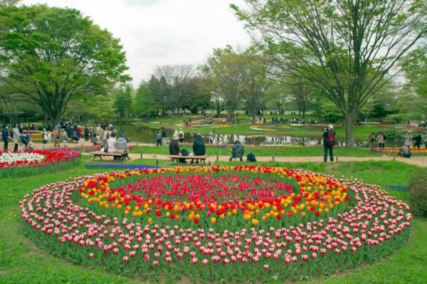 Du khách thư giãn ngắm hoa ở công viên - Ảnh: Phan An