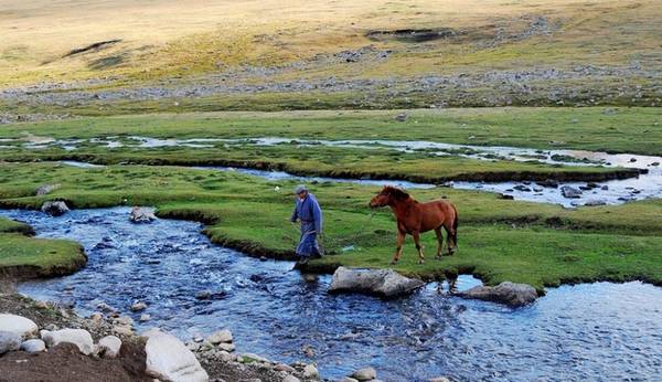 Môi trường Mông Cổ trong sạch, thiên nhiên thân thiện, không có rừng rậm, rắn rết côn trùng hay thú dữ rình rập. Khí hậu ở đây lại mát, lạnh, rất hợp với những người có cơ nhiệt nóng.