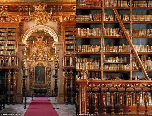 Nằm bên trong đại học Coimbra, Bồ Đào Nha là thư viện Joanina có phong cách Baroque đậm chất quý tộc xưa với những bức tường được lắp đặt những dãy kệ gỗ hai tầng rất đẹp. (Nguồn: Daily Mail)