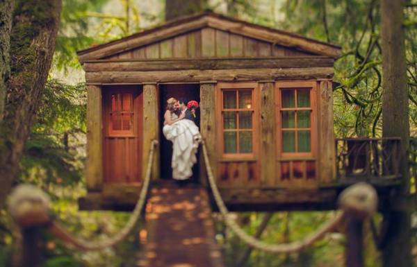 Tổ chức lễ thành hôn trong một ngôi nhà trên cây giống như đang được bước vào một câu chuyện cổ tích
