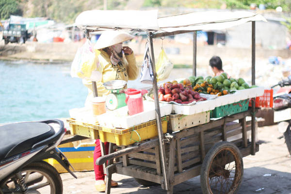Những xe hàng bán trái cây trên cầu cảng đảo Củ Tron - Ảnh: Minh Đức