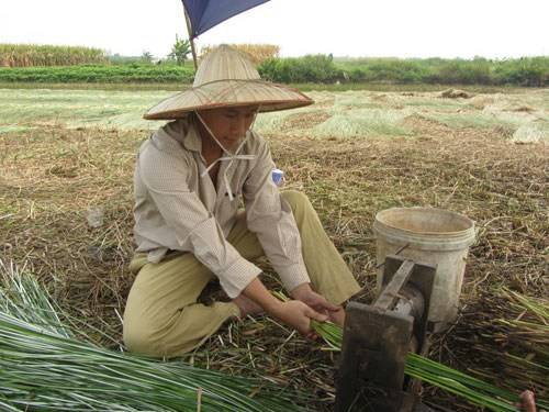 Hùng John tập làm nông dân tại Nga Sơn – Thanh Hóa.