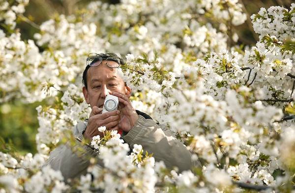 Hoa nở rực rỡ ở vườn Đông trong cung điện hoàng gia. Ảnh: Thomas Peter/Reuters.