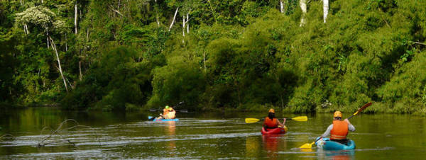 Chèo xuồng khám phá hệ sinh thái trên sông ở vườn quốc gia ở Puerto Maldonado - Ảnh: wp