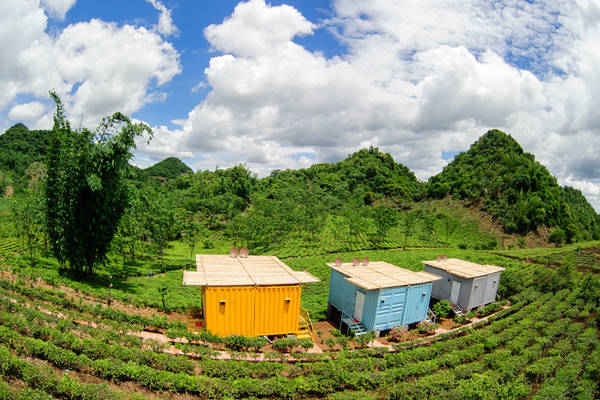 Những bungalow container đầy màu sắc của Mộc Châu Arena Village. Ảnh: mocchauarena.com