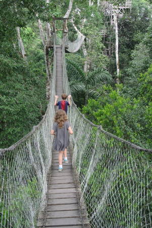 Du khách nhí trên một lối đi bộ trên cao trong rừng Amazon thuộc địa phận vườn quốc gia ở Puerto Maldonado - Ảnh: wp