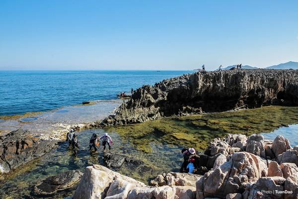 Đường ra bãi san hô cổ khá khó khăn, du khách phải đi đường vòng qua các tảng đá, để từ đó xuống được tận nơi. Hoặc có thể đứng trên phiến đá ngắm nhìn toàn cảnh biển cả bao la.