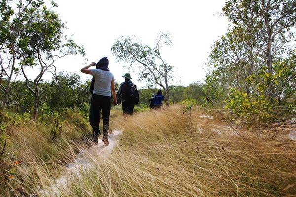 Sau khi dựng trại ở khu vực này, hãy dành buổi chiều để đi khám phá cảnh vật hoang sơ, hệ thực vật phong phú của Bưng Thị.