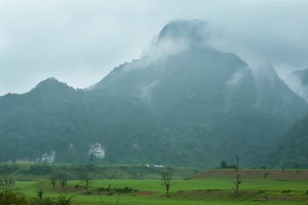 Hang Chuột thuộc xã Tân Hóa, huyện Minh Hóa là địa điểm được lựa chọn làm hang của "Kong: Skull Island". Hang có cửa rộng và sâu 500 m, với rất nhiều măng đá và nhũ đá.