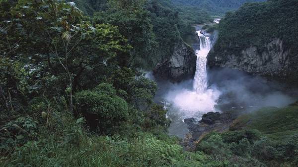 Một ngọn thác trong rừng Amazon thuộc địa phận Ecuador - Ảnh: wp