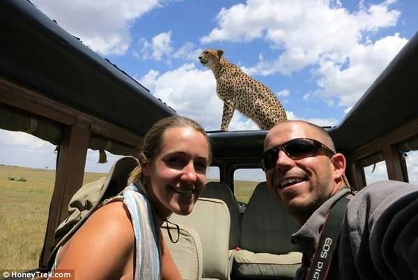 Trong chuyến đi hoành tráng của mình, họ đã đi qua 41 hành trình khám phá các khu bảo tồn khác nhau, trong đó có cả khu bảo tồn Masia Mara ở Kenya.