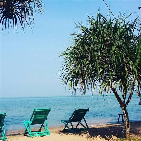Những chiếc ghế đặt dọc bờ cát để trông thẳng ra bãi biển xanh rì. (Ảnh: Instagram)