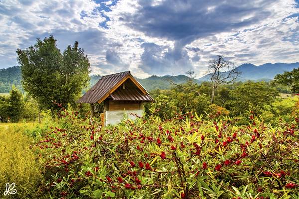  Khung cảnh tuyệt đẹp của Pai. Đây là một thị trấn nhỏ, xinh xắn và lãng mạn nằm ở phía Bắc tỉnh Mae Hong Son,, cách Chiang Mai khoảng 146km về phía Tây Bắc.