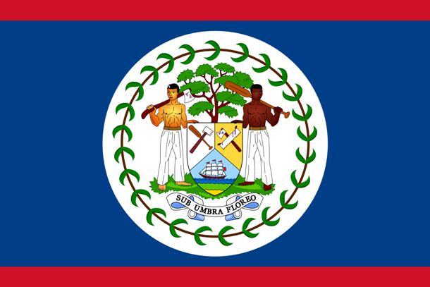 Thiết kế của cờ Belize lại rất phức tạp. Giữa lá cờ là hình ảnh hai thợ cắt xẻ gỗ da màu và người Mestizo cầm các dụng cụ làm việc, bao quanh họ là 50 lá cây gụ, tượng trưng cho nền lâm nghiệp, nguồn thu chủ đạo của quốc gia này.