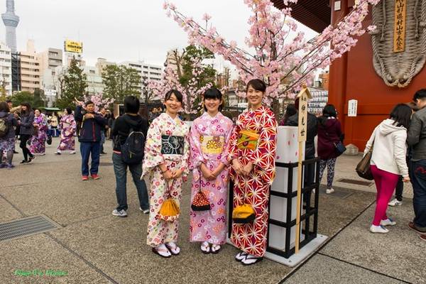 Các cô gái Nhật trong trang phục kimono truyền thống luôn vui vẻ sẵn sàng hỗ trợ, chụp hình lưu niệm cùng du khách .