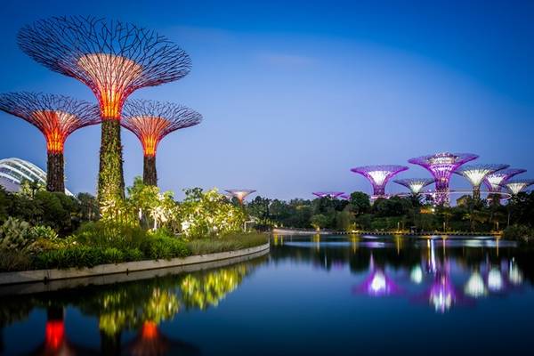 Khu Gardens by the Bay đã trở thành một trong những hình ảnh biểu tượng của Singapore, với kiến trúc vườn thẳng đứng độc đáo. Nơi này giống như một thành phố của tương lai, khi thiên nhiên và các công trình đô thị được kết hợp một cách hoàn hảo, bền vững. Ảnh: Timecaptures.