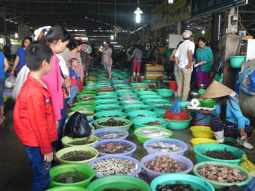 Ấn tượng đầu tiên khi vào chợ Hàng Dương là những thau hải sản được xếp chạy dọc khu chợ để khách tha hồ lựa món ưa thích. Ảnh: Thảo Nghi