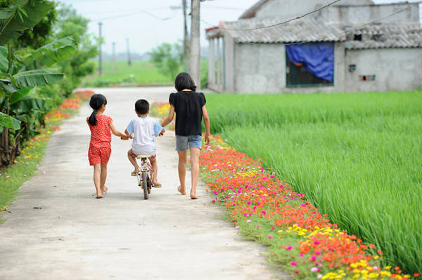 Bên cạnh màu xanh của lúa, cây tre, chuối quen thuộc, đã có thêm những màu hoa rực rỡ đem lại sự vui tươi cho các làng ở Nam Định.